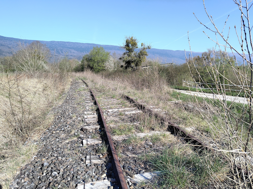 Image non disponible